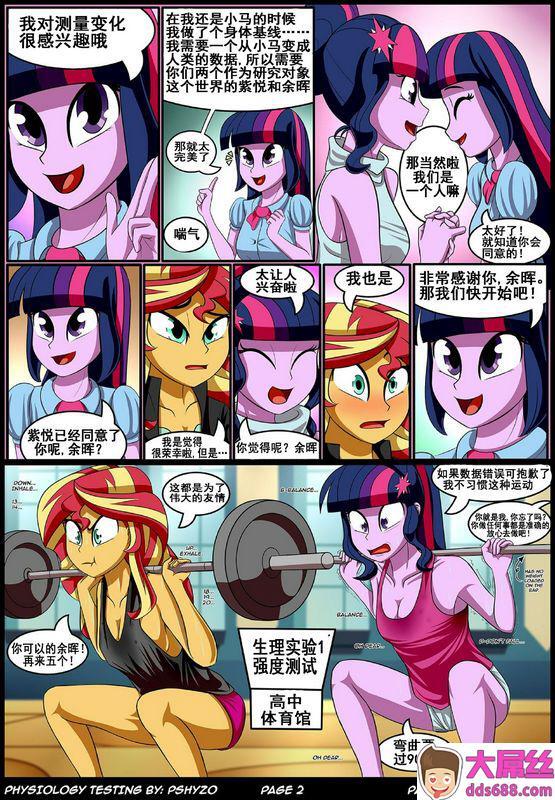 Pshyzo Physiology Testing My Little Pony Friendship Is Magic Chinese 流木个人汉化